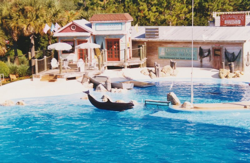 010-The dolphin show.jpg